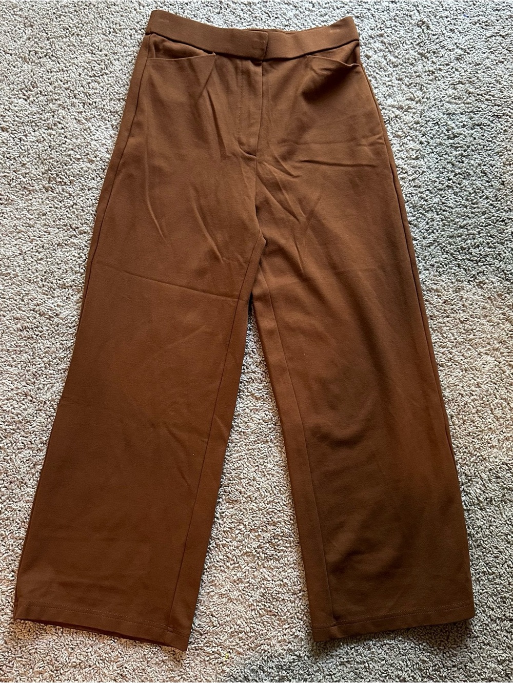 OGL Wide-Leg High-Rise Pants in Rich Brown